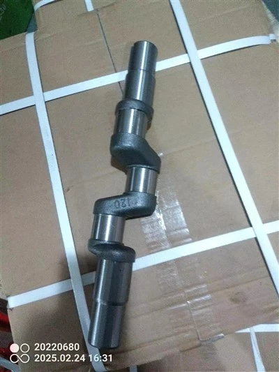 product-400-533 120 Plunger Pump Crankshaft